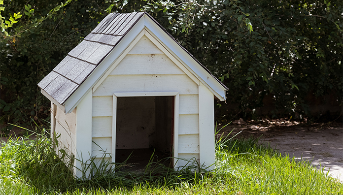 犬小屋